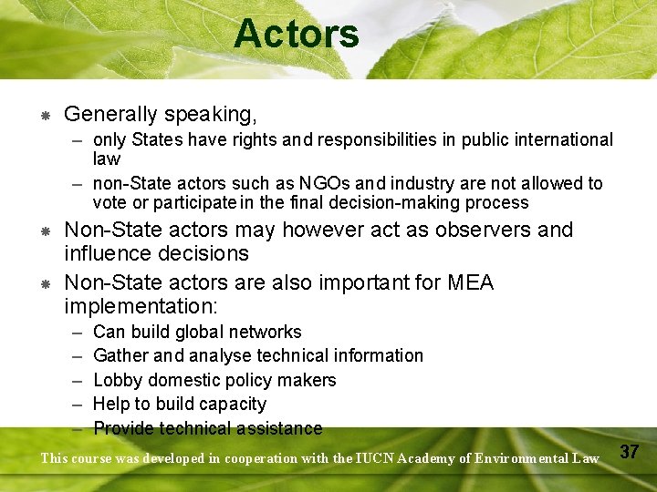 Actors Generally speaking, – only States have rights and responsibilities in public international law