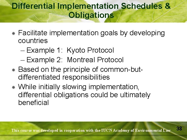 Differential Implementation Schedules & Obligations Facilitate implementation goals by developing countries – Example 1:
