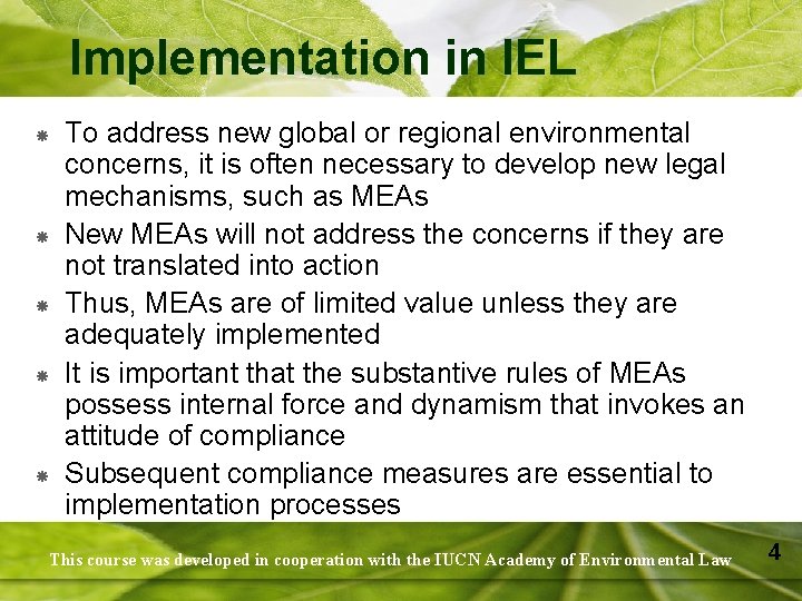 Implementation in IEL To address new global or regional environmental concerns, it is often