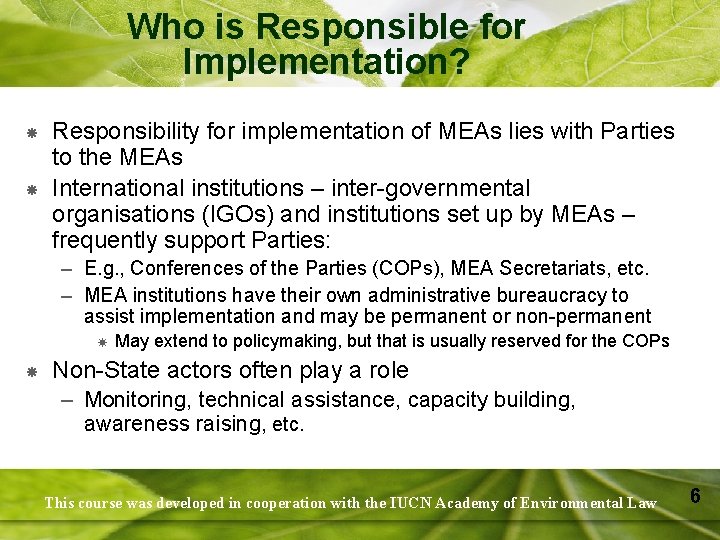 Who is Responsible for Implementation? Responsibility for implementation of MEAs lies with Parties to