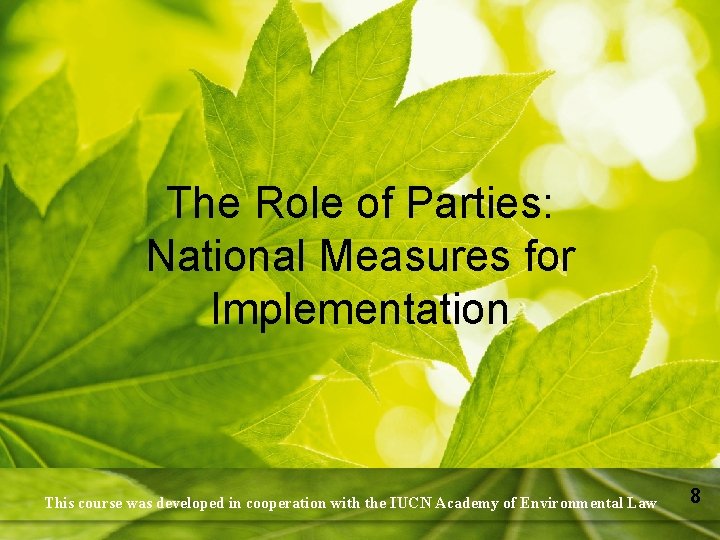 The Role of Parties: National Measures for Implementation This course was developed in cooperation