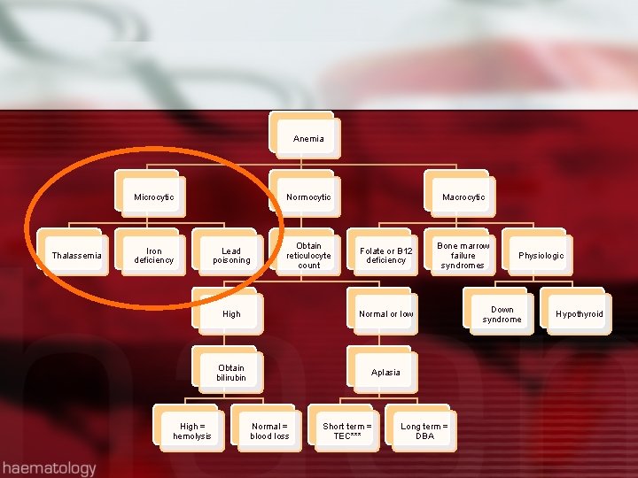 Anemia Microcytic Thalassemia Iron deficiency High = hemolysis Normocytic Lead poisoning Obtain reticulocyte count