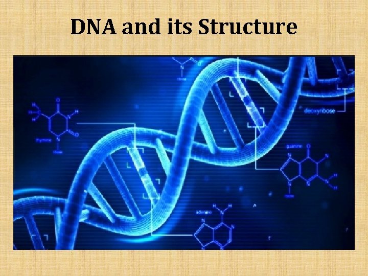 DNA and its Structure 