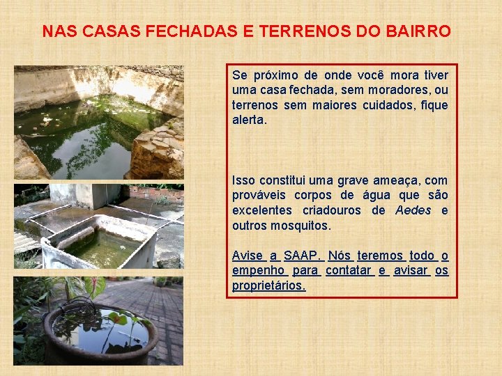 NAS CASAS FECHADAS E TERRENOS DO BAIRRO Se próximo de onde você mora tiver