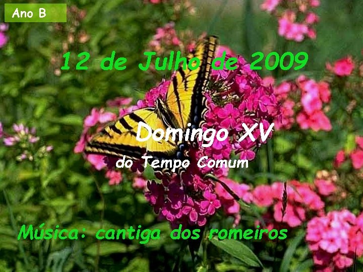 Ano B 12 de Julho de 2009 Domingo XV do Tempo Comum Música: cantiga