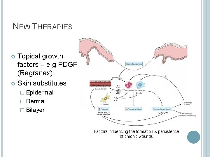 NEW THERAPIES Topical growth factors – e. g PDGF (Regranex) Skin substitutes � Epidermal