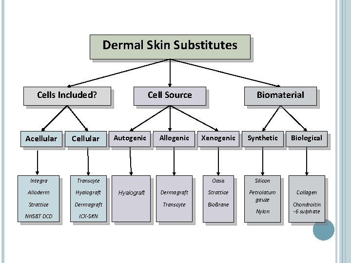 Dermal Skin Substitutes Cells Included? Acellular Cellular Integra Transcyte Alloderm Hyalograft Strattice Dermagraft NHSBT