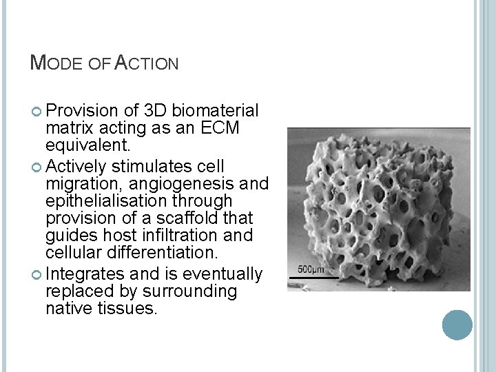 MODE OF ACTION Provision of 3 D biomaterial matrix acting as an ECM equivalent.