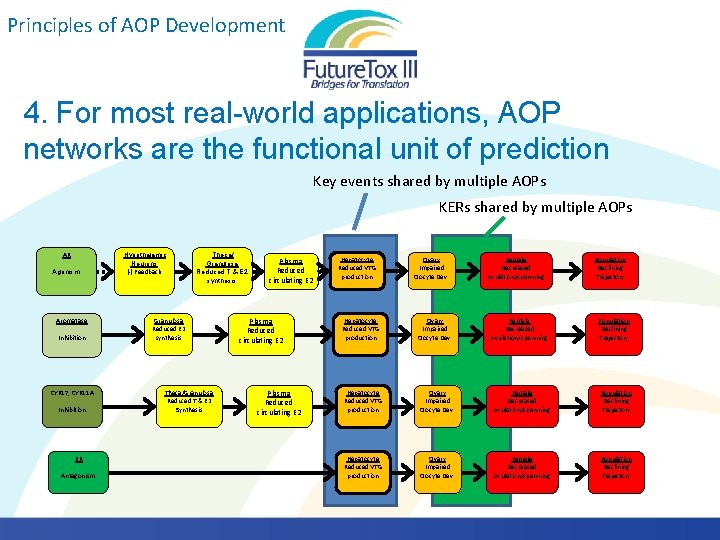 Principles of AOP Development 4. For most real-world applications, AOP networks are the functional