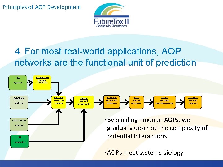 Principles of AOP Development 4. For most real-world applications, AOP networks are the functional Principles of AOP Development 4. For most real-world applications, AOP networks are the functional