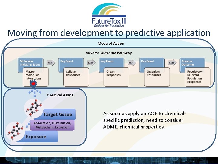 Moving from development to predictive application Mode of Action Adverse Outcome Pathway Chemical ADME