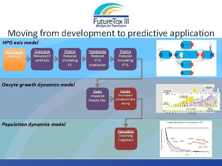 Moving from development to predictive application HPG axis model Aromatase Inhibition Granulosa Reduced E