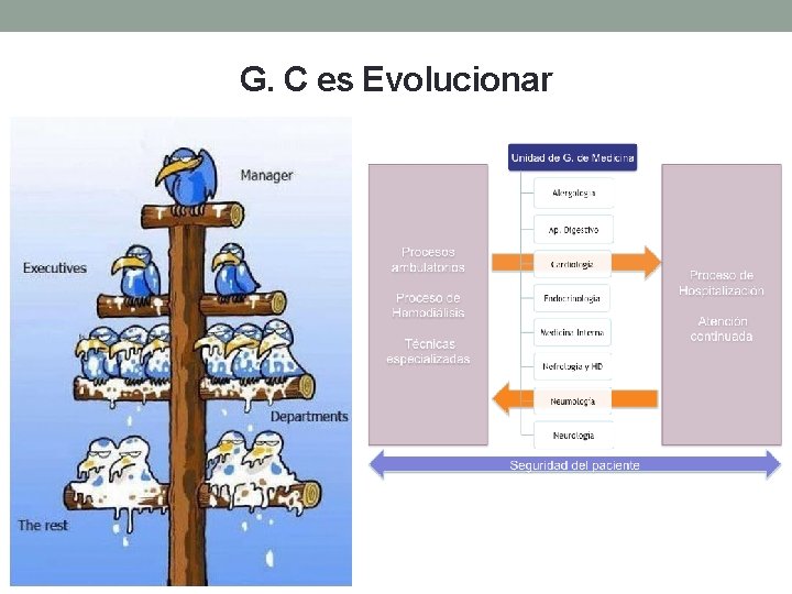 G. C es Evolucionar 