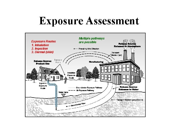 Exposure Assessment Exposure Routes 1. Inhalation 2. Ingestion 3. Dermal (skin) Multiple pathways are