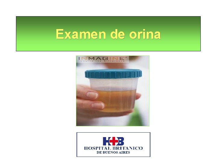 Examen de orina 