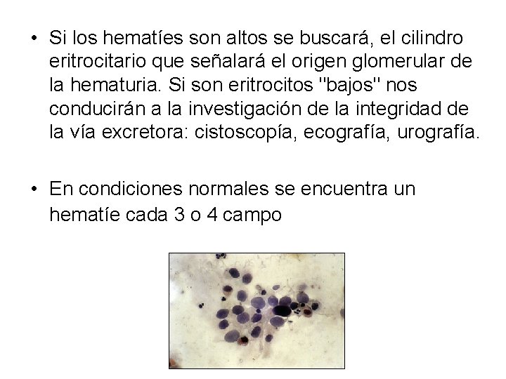  • Si los hematíes son altos se buscará, el cilindro eritrocitario que señalará