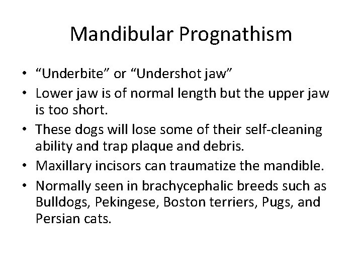 Mandibular Prognathism • “Underbite” or “Undershot jaw” • Lower jaw is of normal length