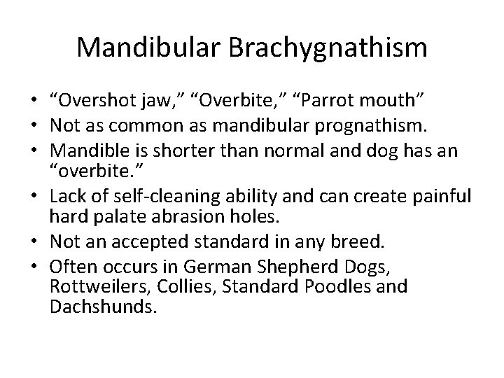 Mandibular Brachygnathism • “Overshot jaw, ” “Overbite, ” “Parrot mouth” • Not as common