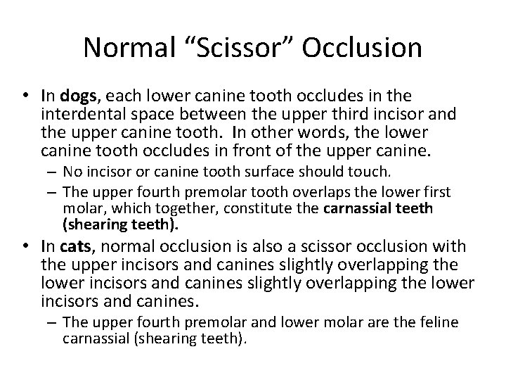 Normal “Scissor” Occlusion • In dogs, each lower canine tooth occludes in the interdental