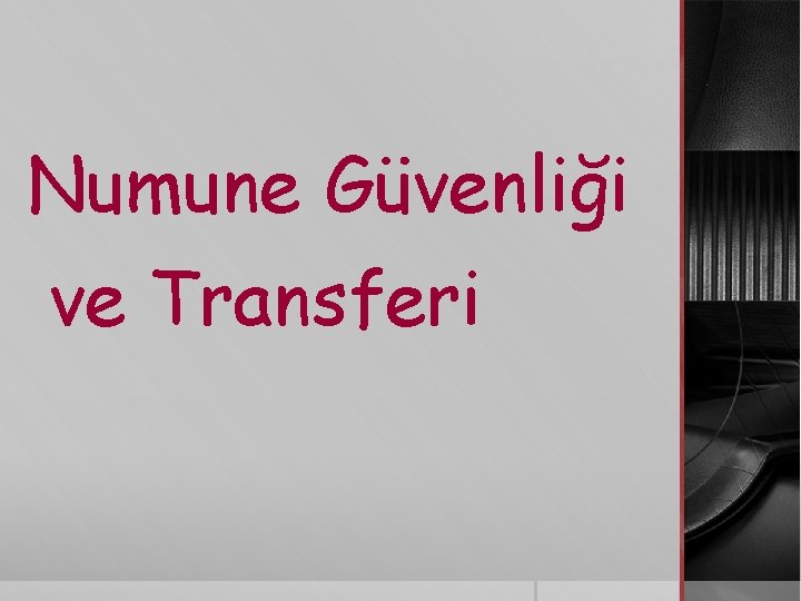 Numune Güvenliği ve Transferi 