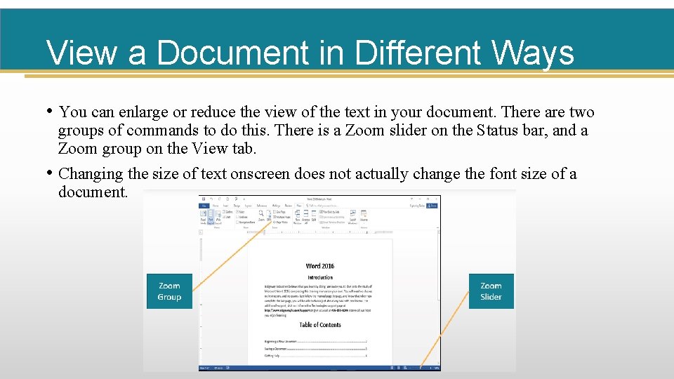 View a Document in Different Ways • You can enlarge or reduce the view