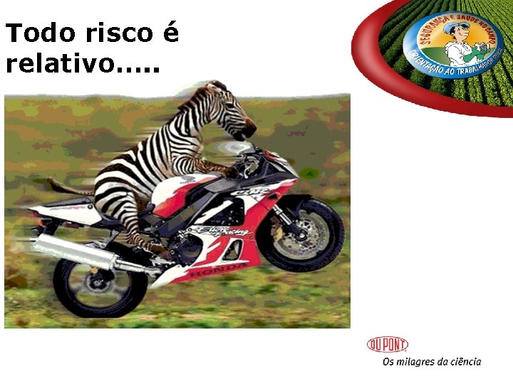 Todo risco é relativo…. . Todo risco é relativo…. .