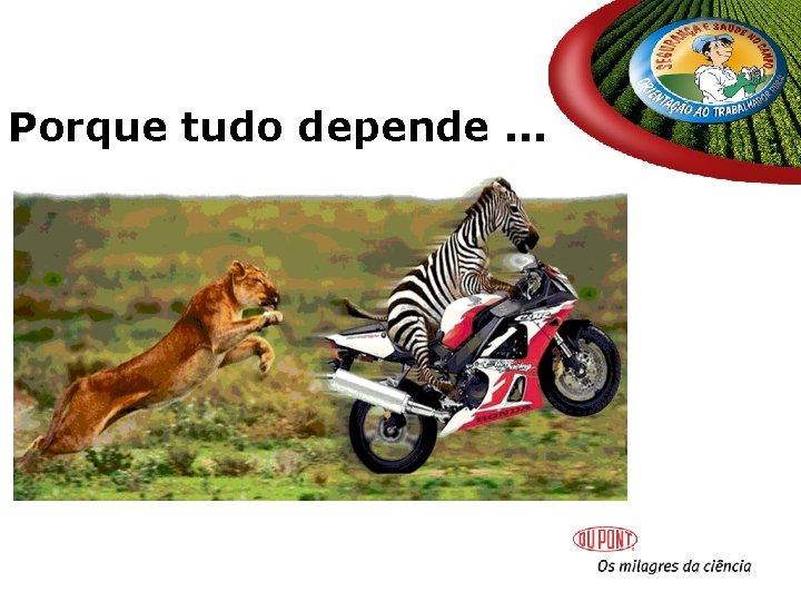 Porque tudo depende. . . Porque tudo depende. . .