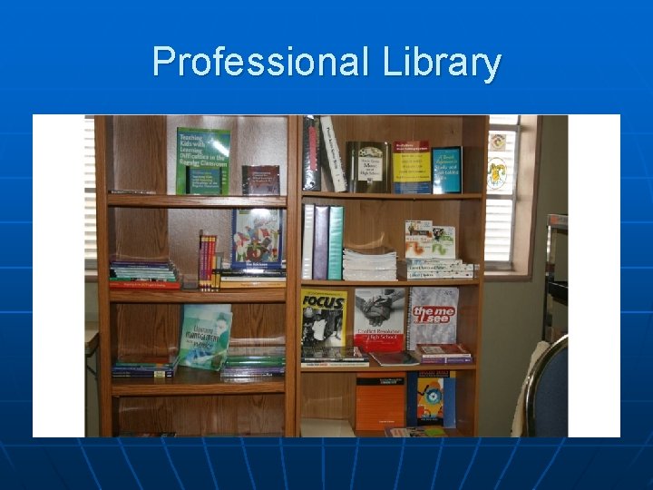 Professional Library 