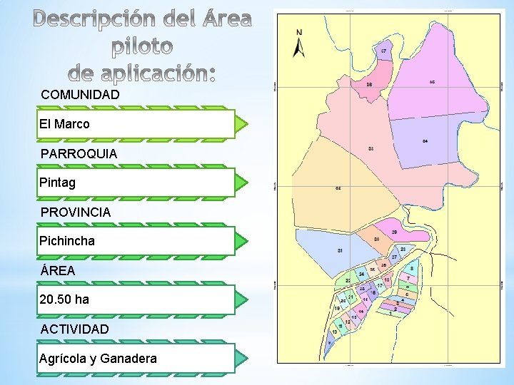 COMUNIDAD El Marco PARROQUIA Pintag PROVINCIA Pichincha ÁREA 20. 50 ha ACTIVIDAD Agrícola y
