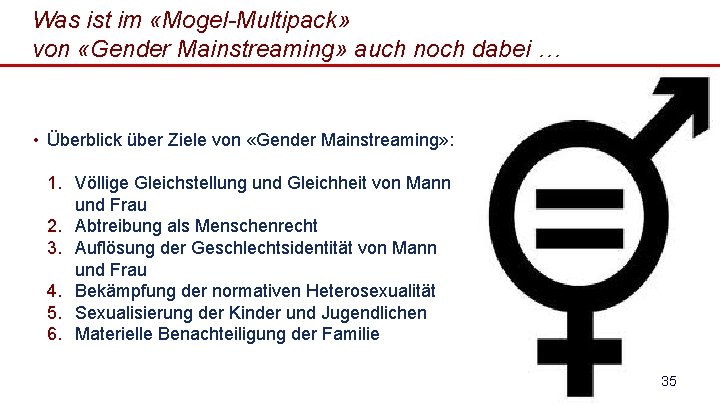 Was ist im «Mogel-Multipack» von «Gender Mainstreaming» auch noch dabei … • Überblick über