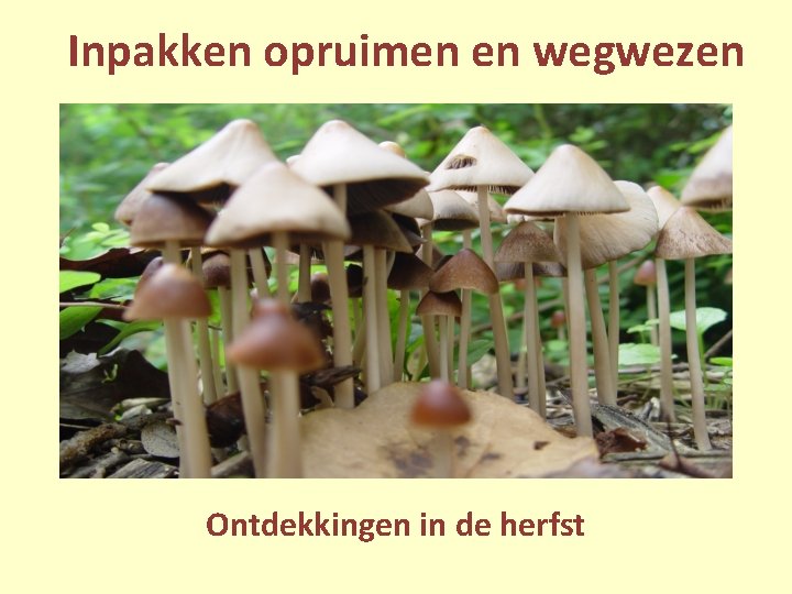 Inpakken opruimen en wegwezen Ontdekkingen in de herfst 