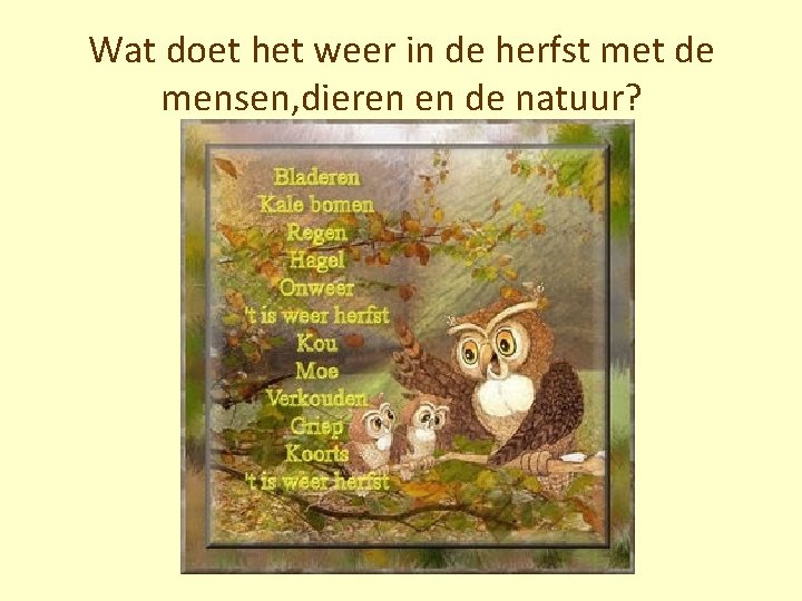 Wat doet het weer in de herfst met de mensen, dieren en de natuur?