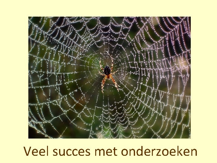 Veel succes met onderzoeken 