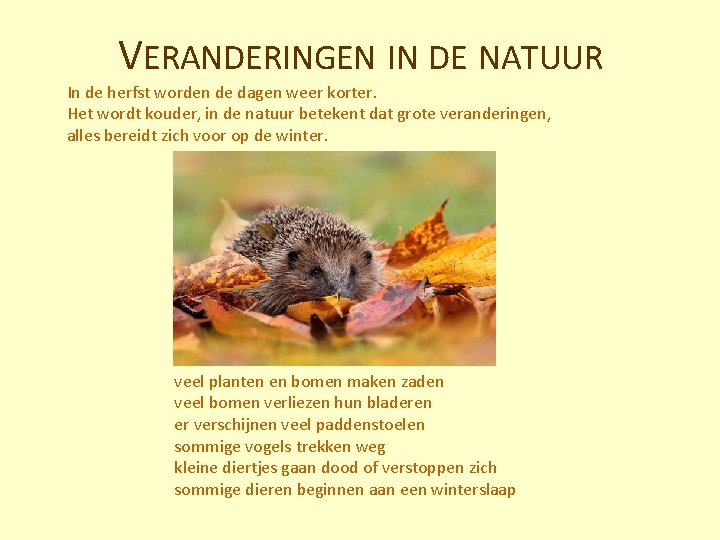 VERANDERINGEN IN DE NATUUR In de herfst worden de dagen weer korter. Het wordt