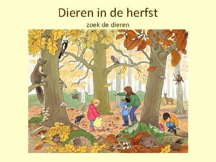 Dieren in de herfst zoek de dieren 