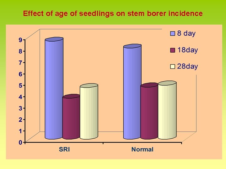 Effect of age of seedlings on stem borer incidence 