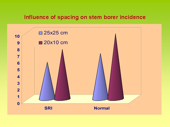 Influence of spacing on stem borer incidence 