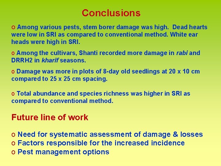 Conclusions o Among various pests, stem borer damage was high. Dead hearts were low