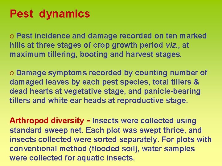 Pest dynamics o Pest incidence and damage recorded on ten marked hills at three