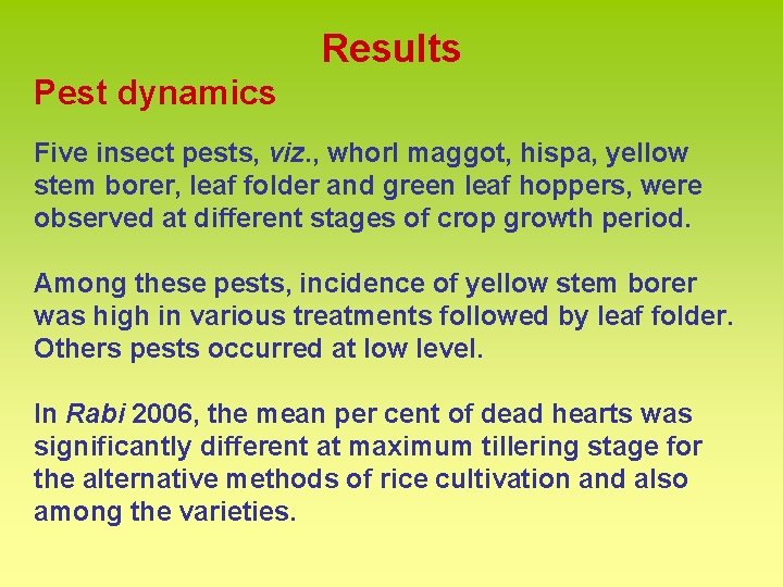 Results Pest dynamics Five insect pests, viz. , whorl maggot, hispa, yellow stem borer,