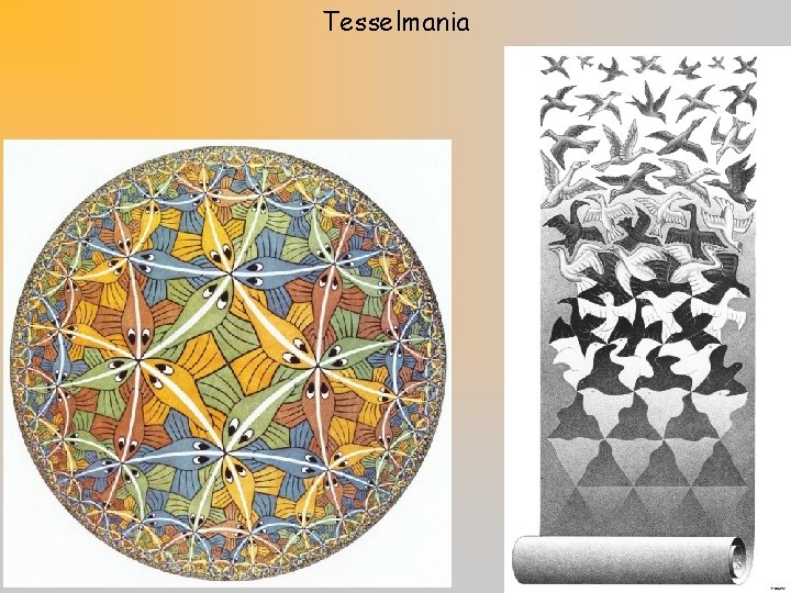 Tesselmania 