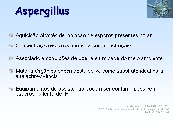 Aspergillus Aquisição através de inalação de esporos presentes no ar Concentração esporos aumenta com