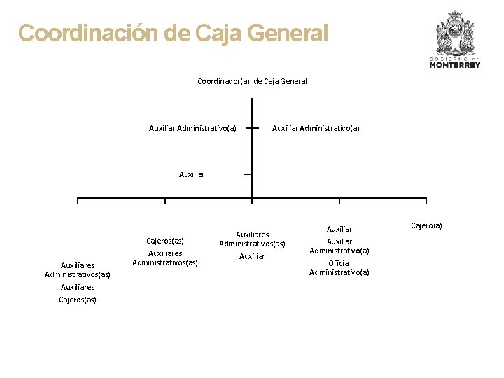 Coordinación de Caja General Coordinador(a) de Caja General Auxiliar Administrativo(a) Auxiliar Cajeros(as) Auxiliares Administrativos(as)