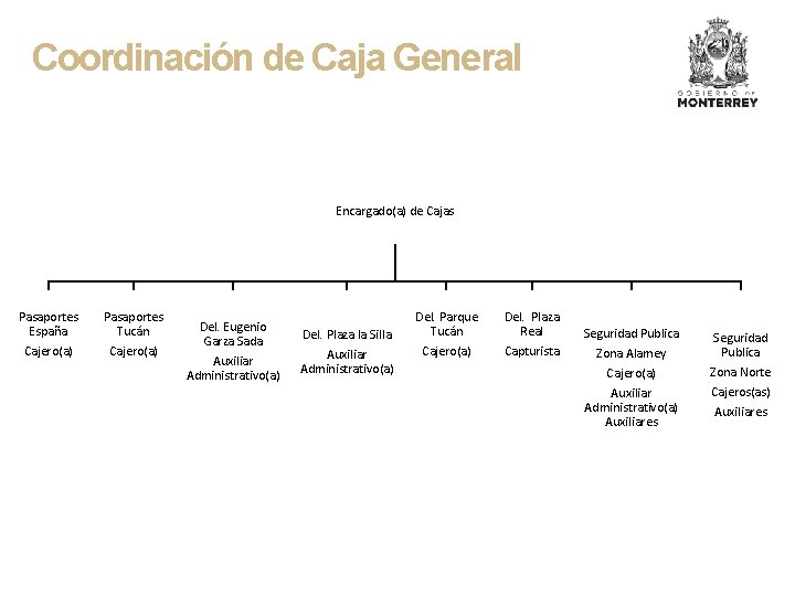 Coordinación de Caja General Encargado(a) de Cajas Pasaportes España Cajero(a) Pasaportes Tucán Cajero(a) Del.