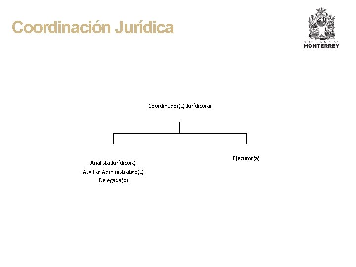 Coordinación Jurídica Coordinador(a) Jurídico(a) Analista Jurídico(a) Auxiliar Administrativo(a) Delegada(o) Ejecutor(a) 