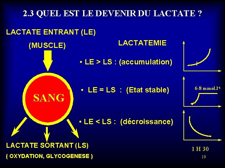 2. 3 QUEL EST LE DEVENIR DU LACTATE ? LACTATE ENTRANT (LE) LACTATEMIE (MUSCLE)