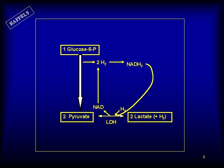 S EL P AP R 1 Glucose-6 -P 2 H 2 NADH 2 2