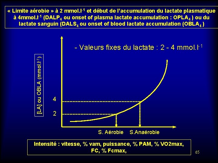  « Limite aérobie » à 2 mmol. l-1 et début de l’accumulation du