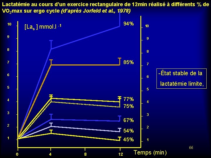 Lactatémie au cours d’un exercice rectangulaire de 12 min réalisé à différents % de