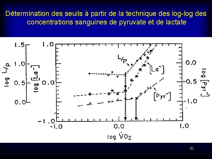 Détermination des seuils à partir de la technique des log-log des concentrations sanguines de